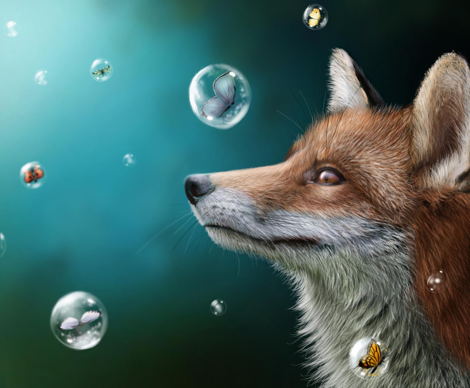 Fox And Butterfly Wallpapers Wallpaper Cave