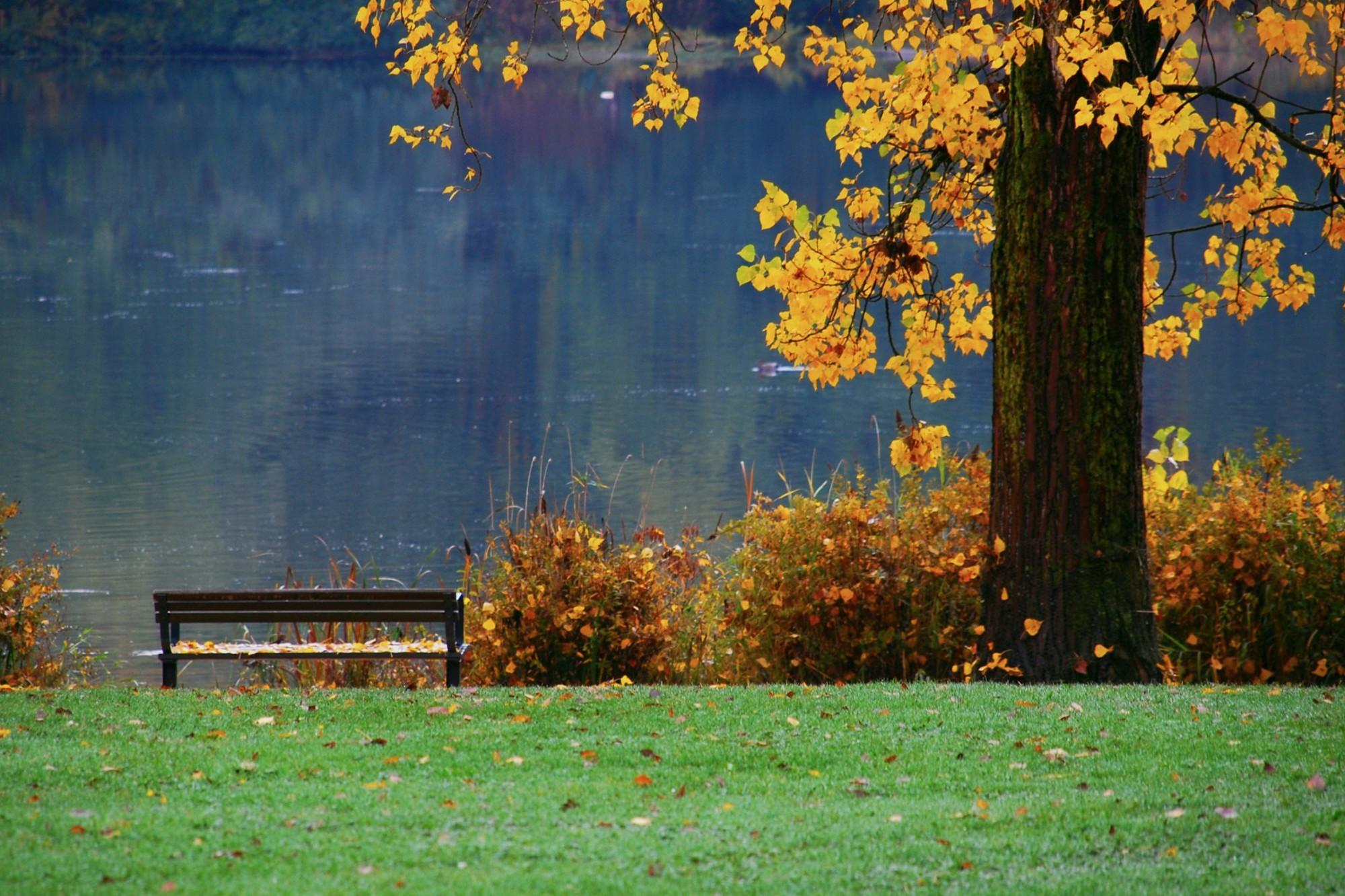 Pleasant Wallpapers Wallpaper Cave