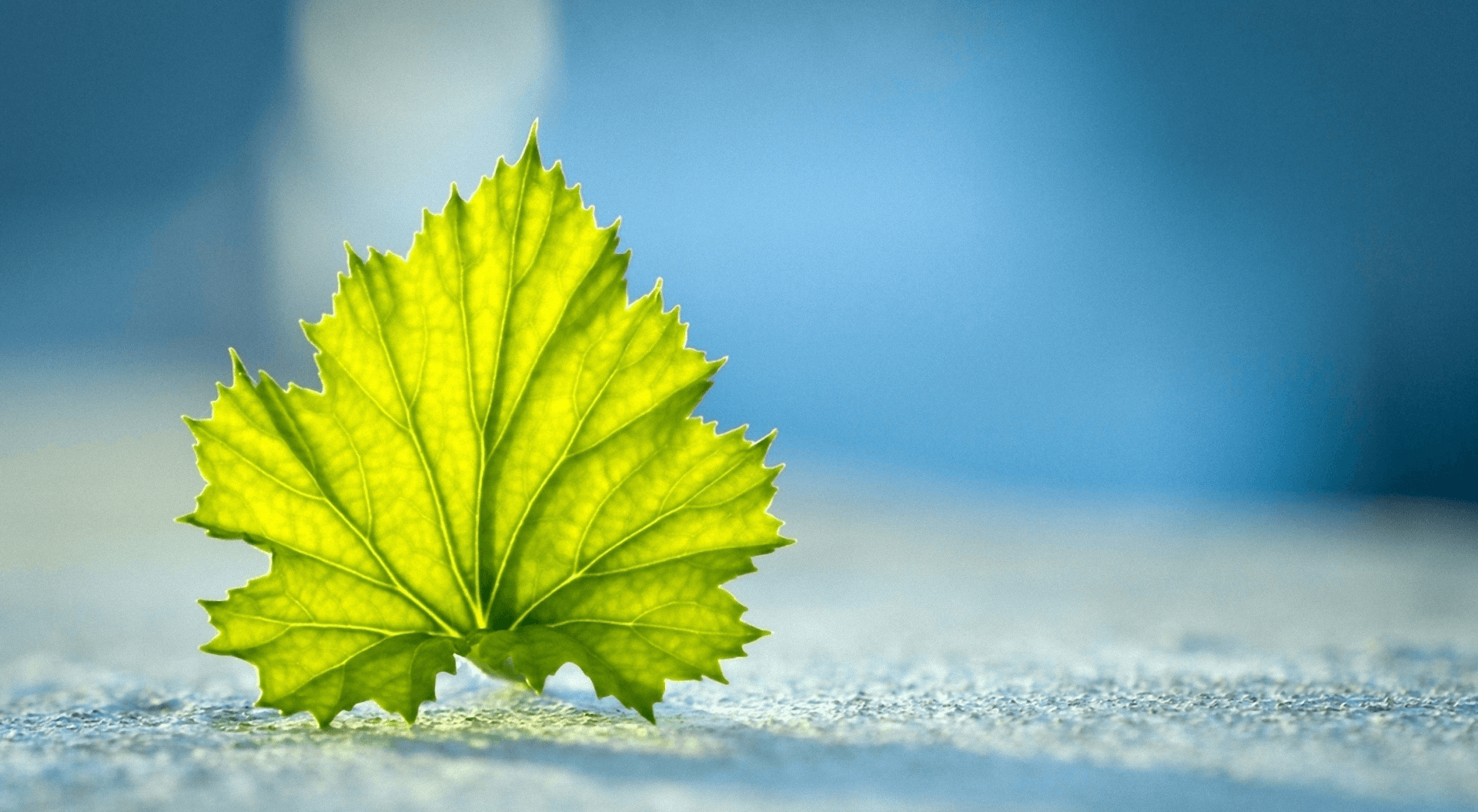 Pleasant Wallpapers Wallpaper Cave