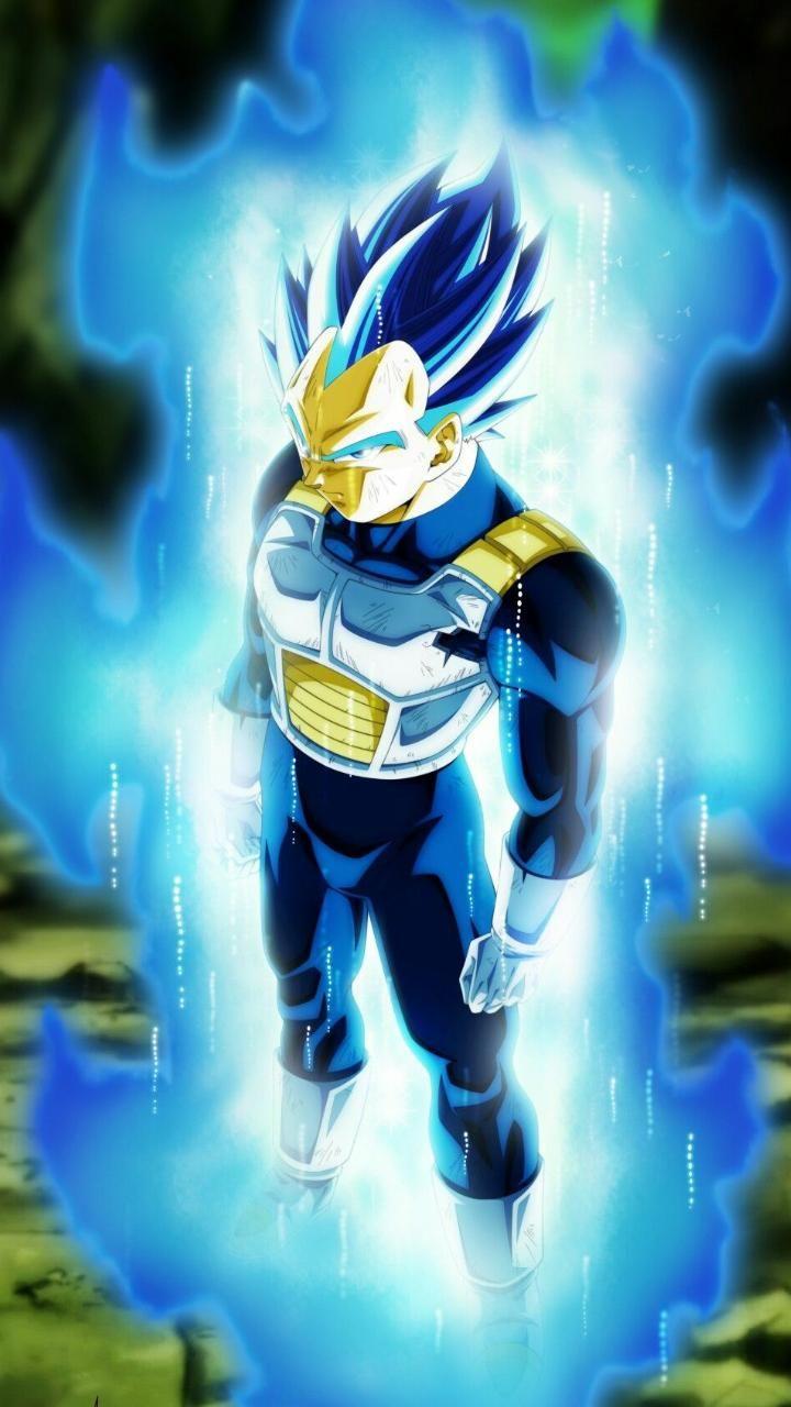 Vegeta Royal Blue Wallpapers Wallpaper Cave