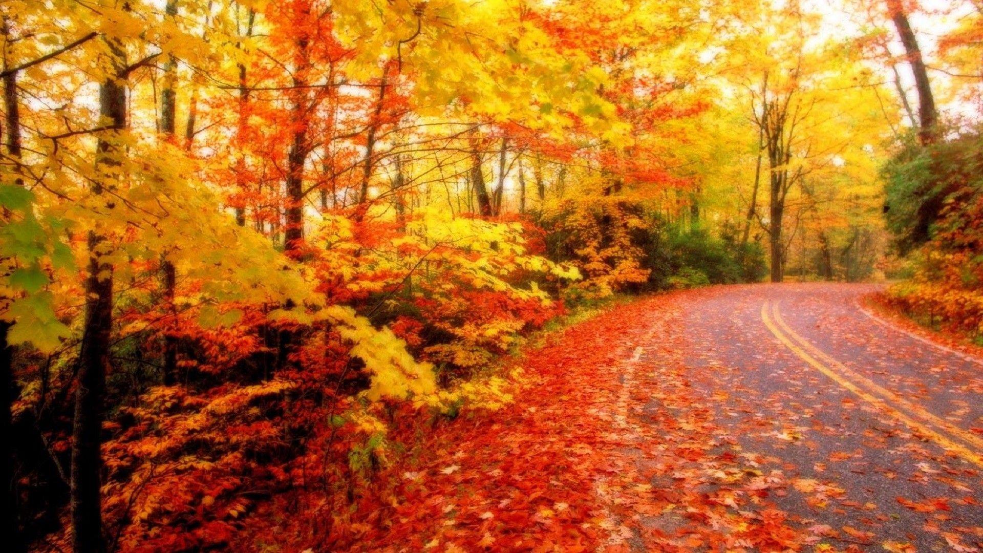 All Seasons Wallpapers Wallpaper Cave