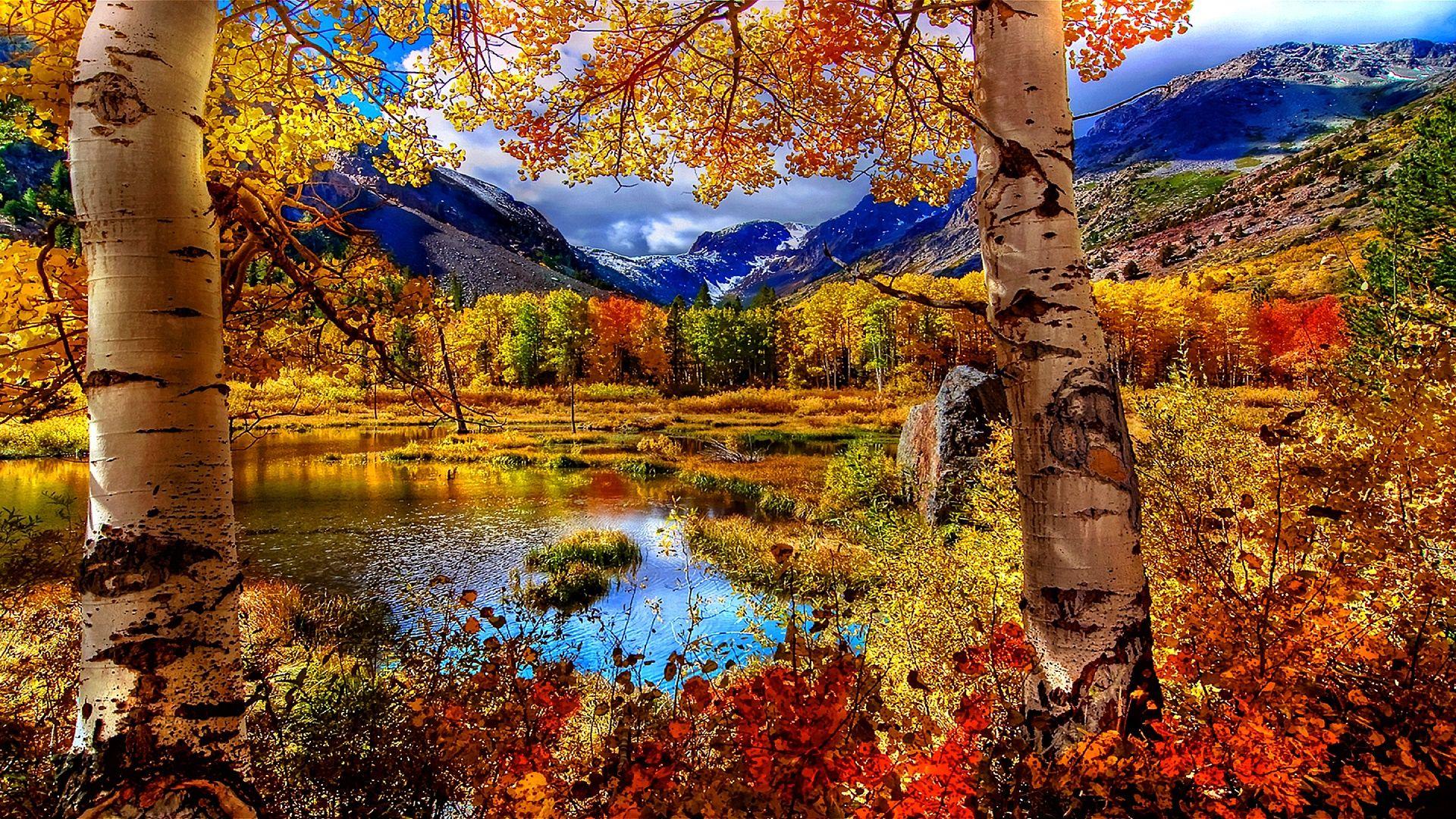 Autumn Glory Wallpapers Wallpaper Cave