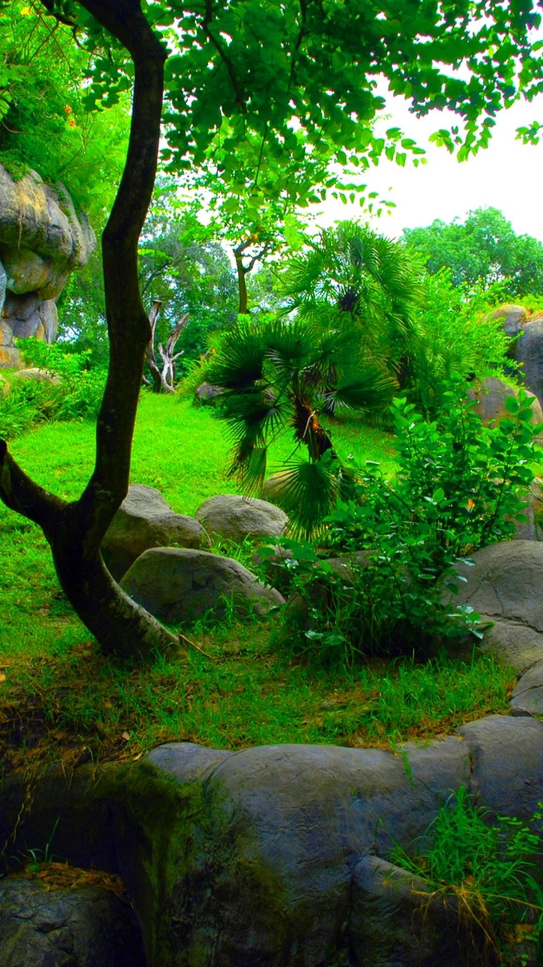 Nature Green Phone Wallpapers Wallpaper Cave