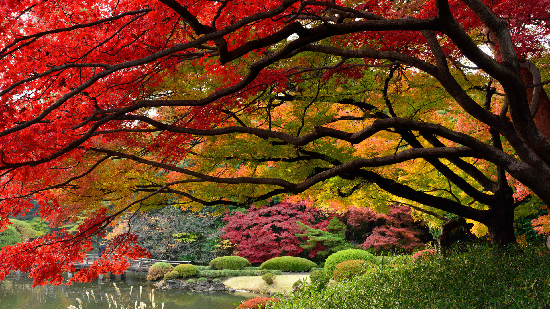 Autumn Zen Garden Wallpapers Wallpaper Cave