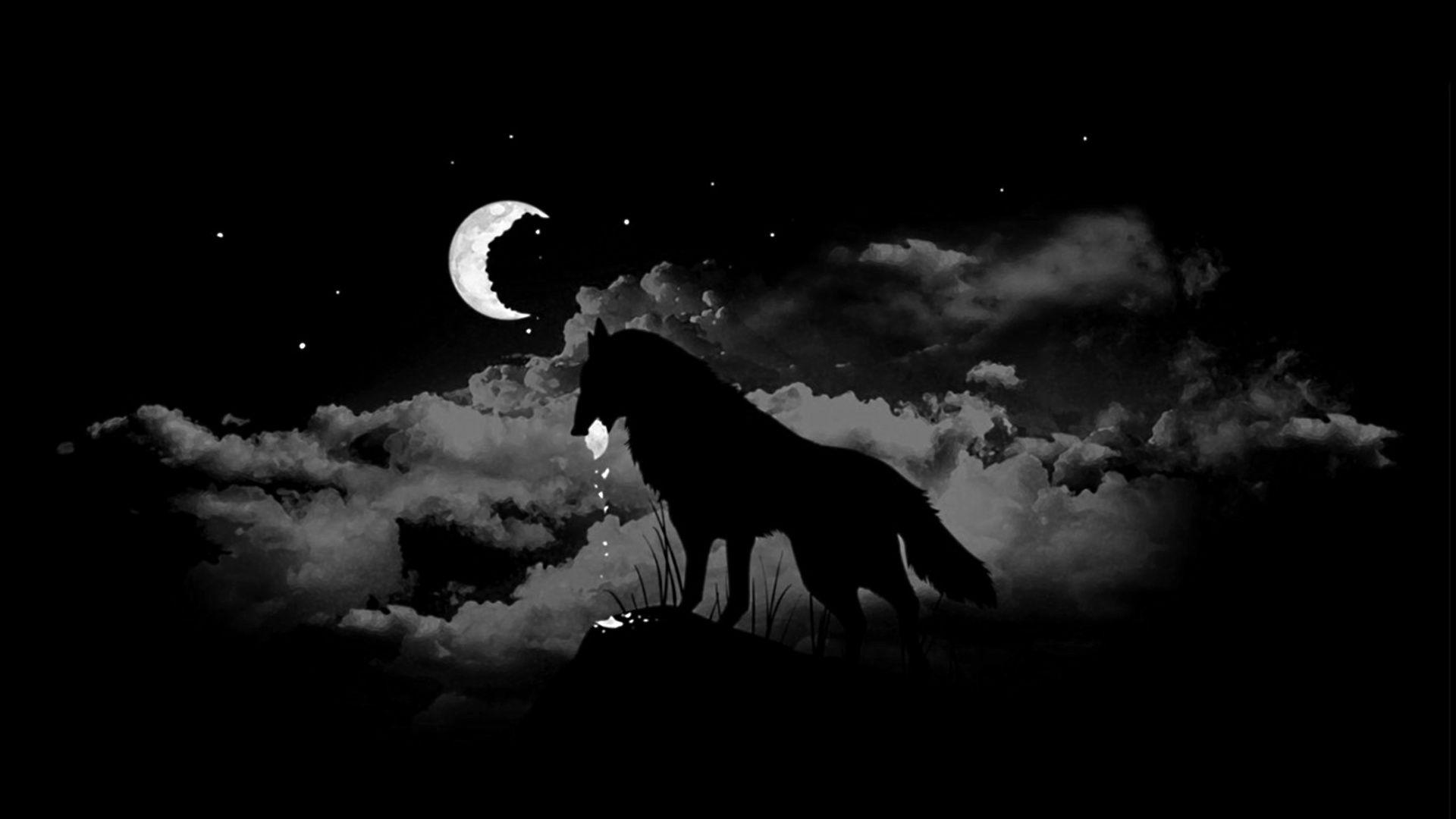 Dark Alpha Wolf Wallpapers Wallpaper Cave
