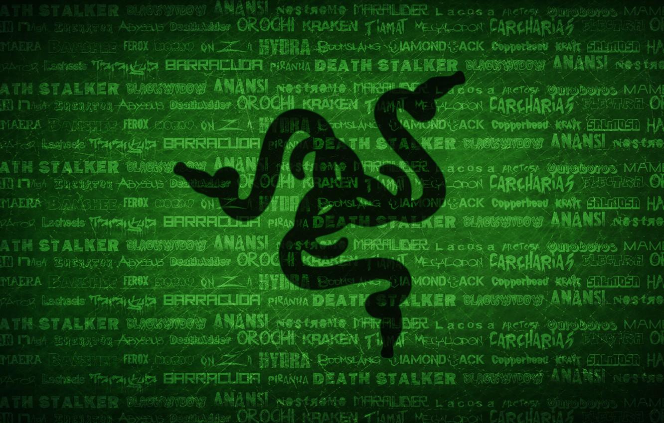 Green Razer Wallpapers Wallpaper Cave