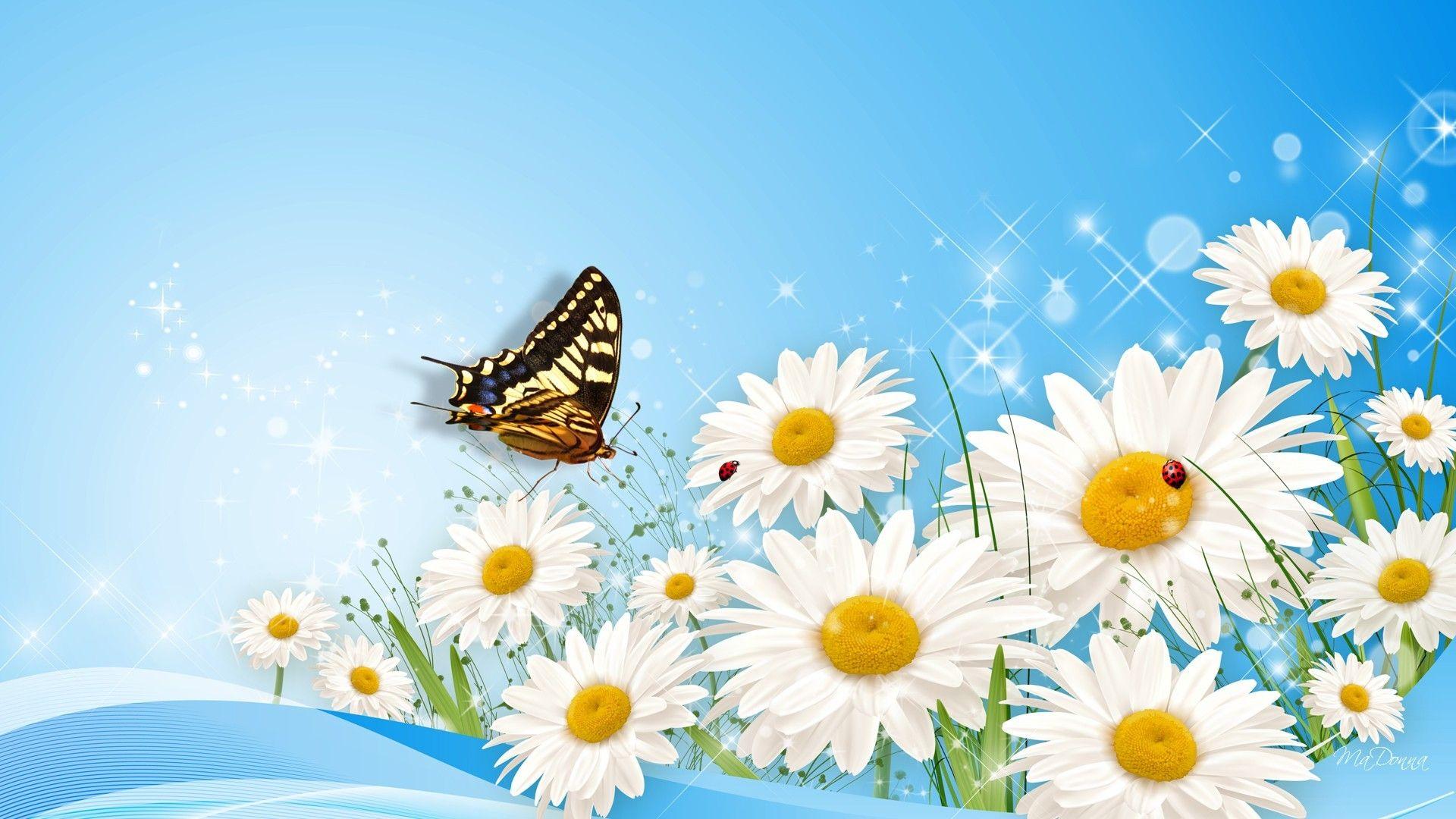 Daisies And Butterflies Wallpapers Wallpaper Cave