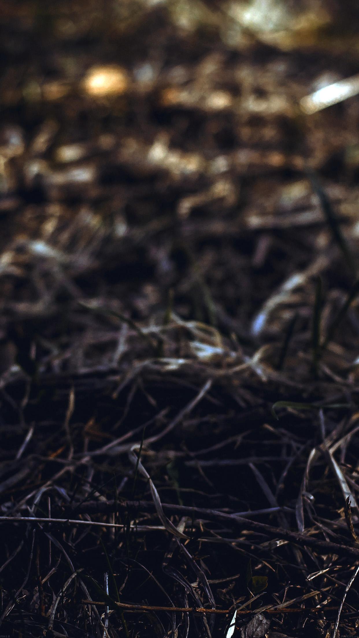 Old Leaf iPhone Wallpapers Wallpaper Cave