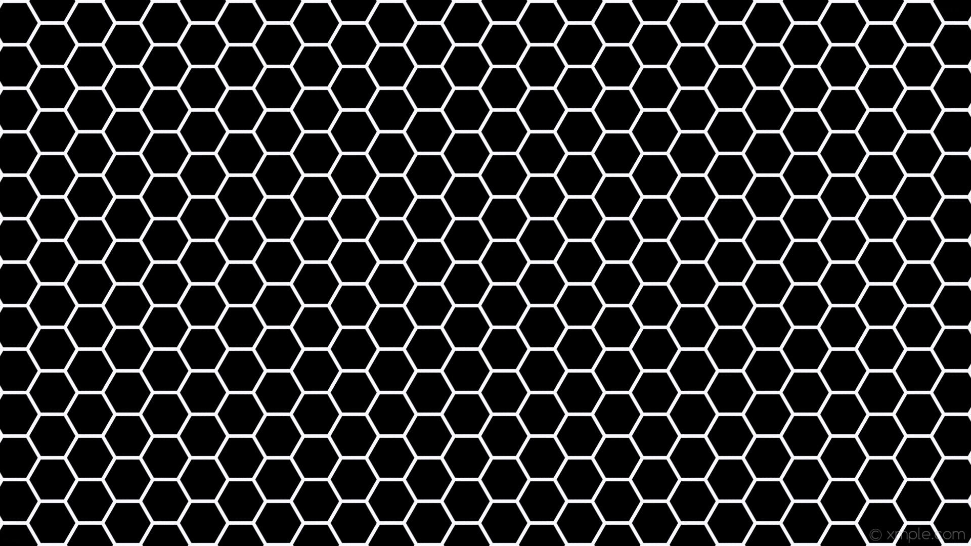White Hexagons Wallpapers Wallpaper Cave