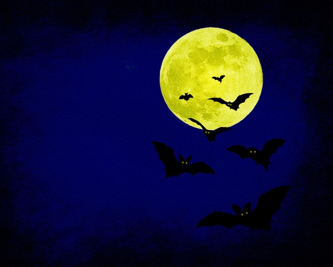 Halloween Bats Wallpapers Wallpaper Cave