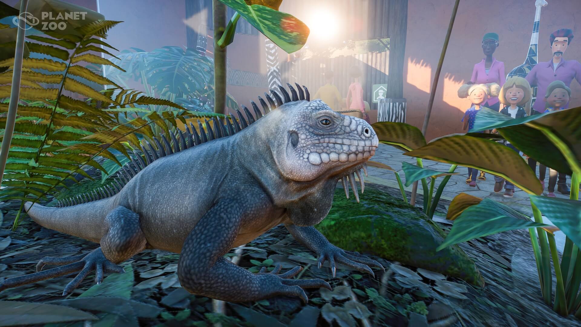 Zoo Wallpapers Wallpaper Cave