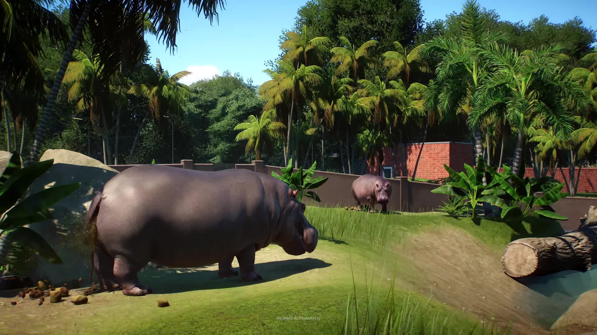 Zoo Wallpapers Wallpaper Cave