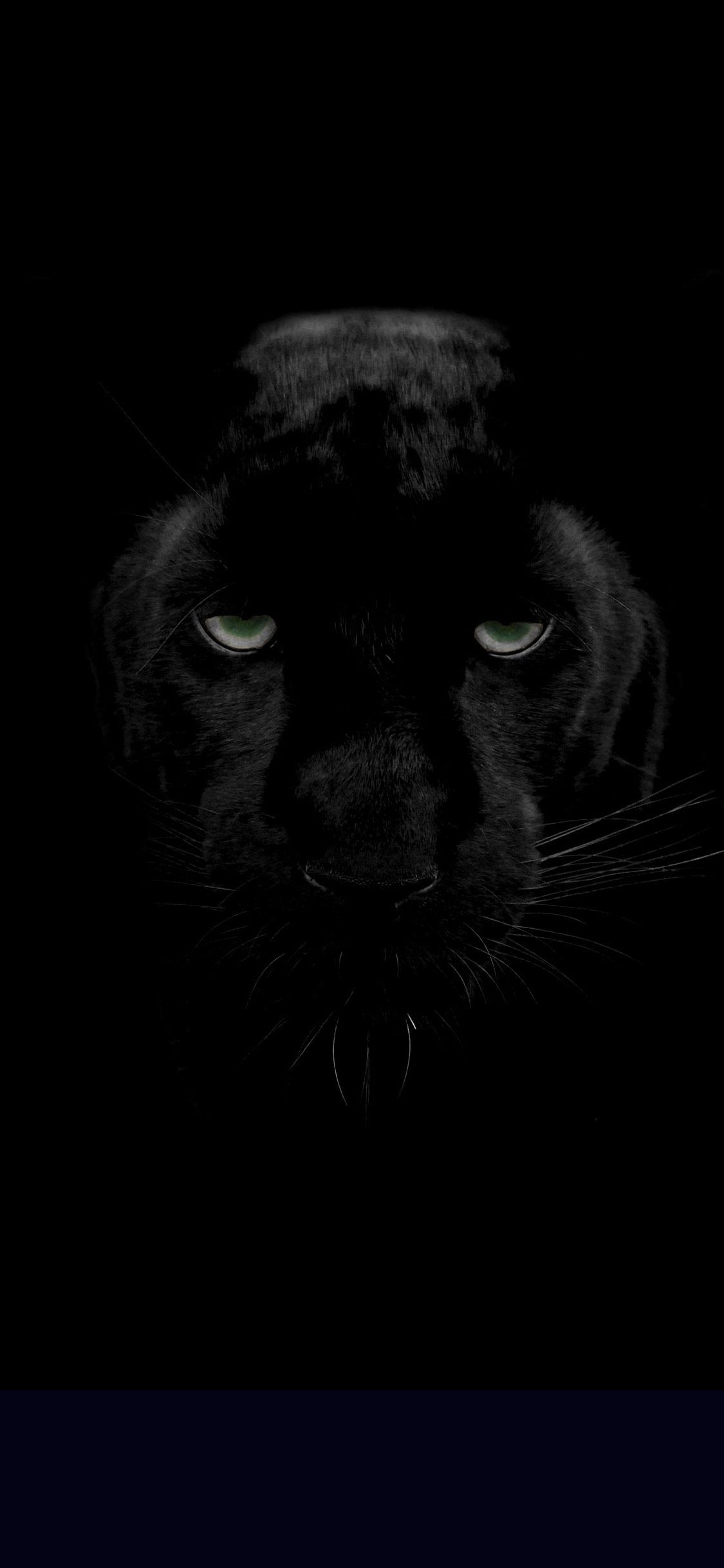 iPhone XS Black Wallpapers Wallpaper Cave