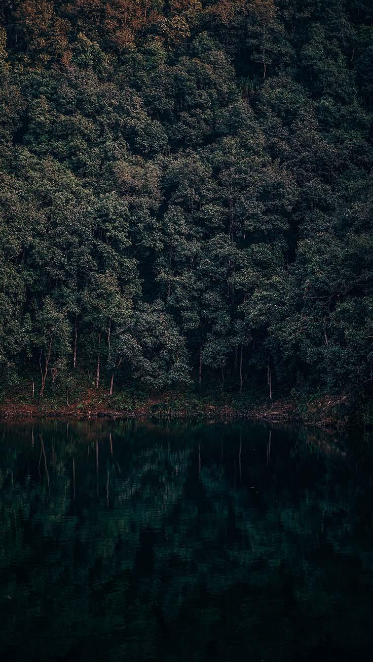 iPhone Xr HD Wallpapers Wallpaper Cave