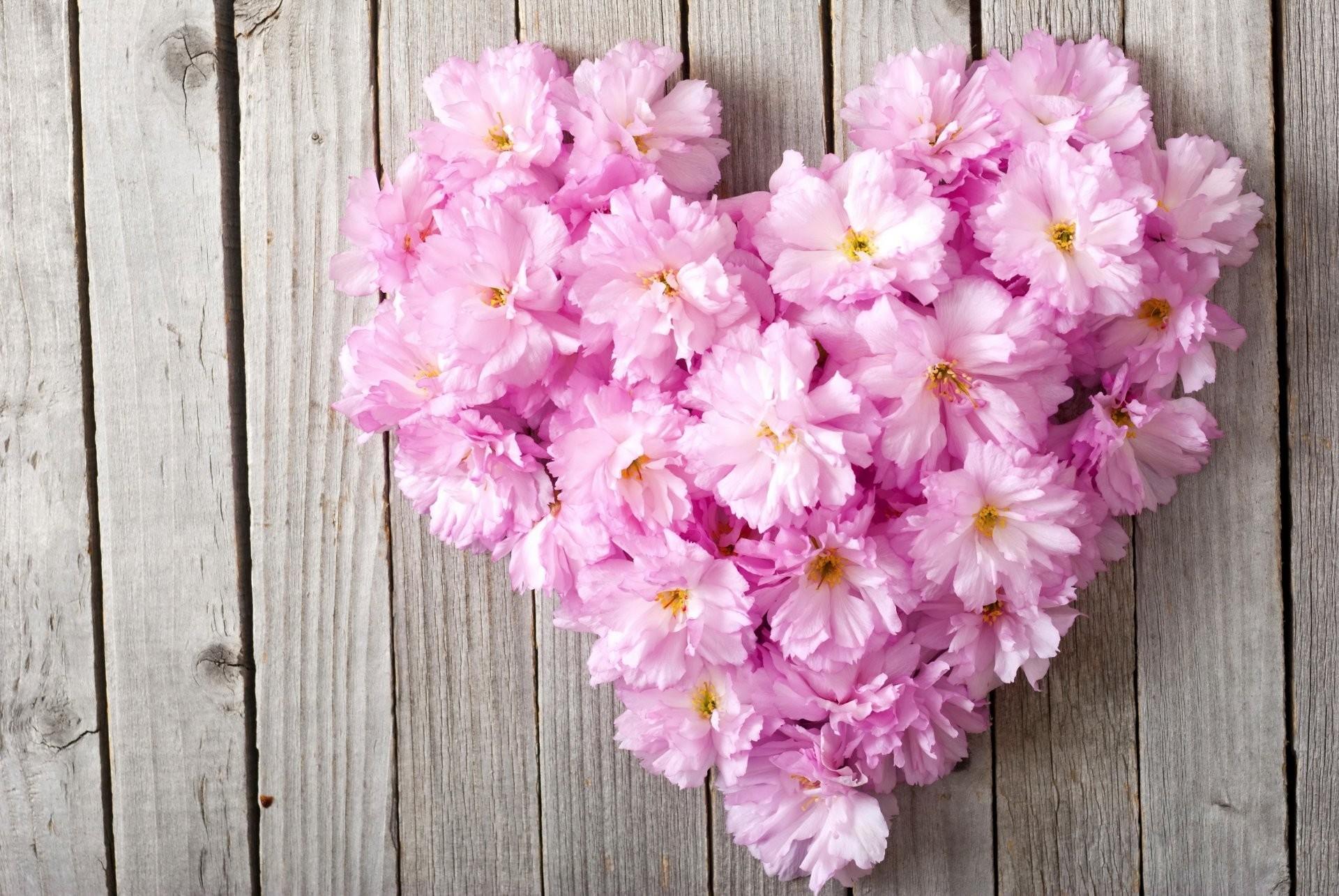 Pink Heart Flower Wallpapers Wallpaper Cave