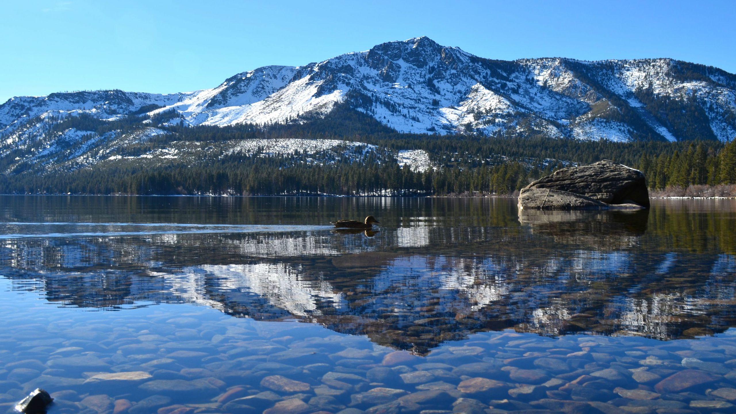Fallen Leaf Lake Wallpapers Wallpaper Cave