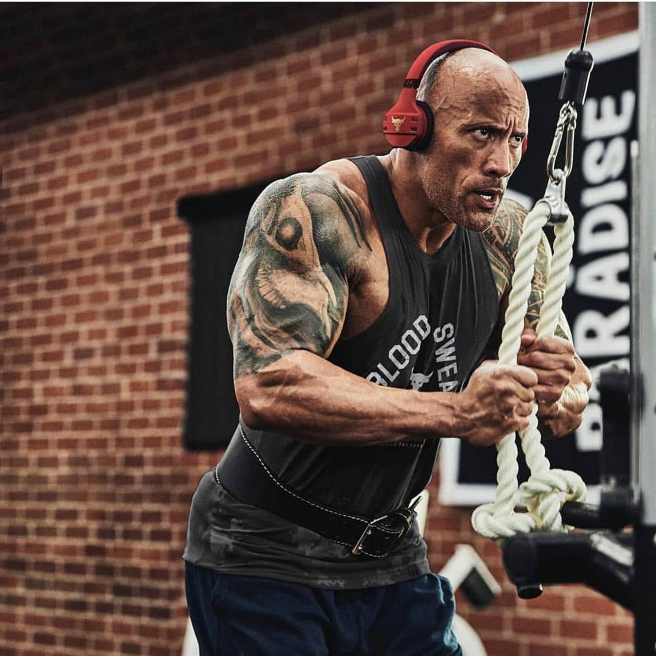 The Rock Gym Wallpapers Wallpaper Cave