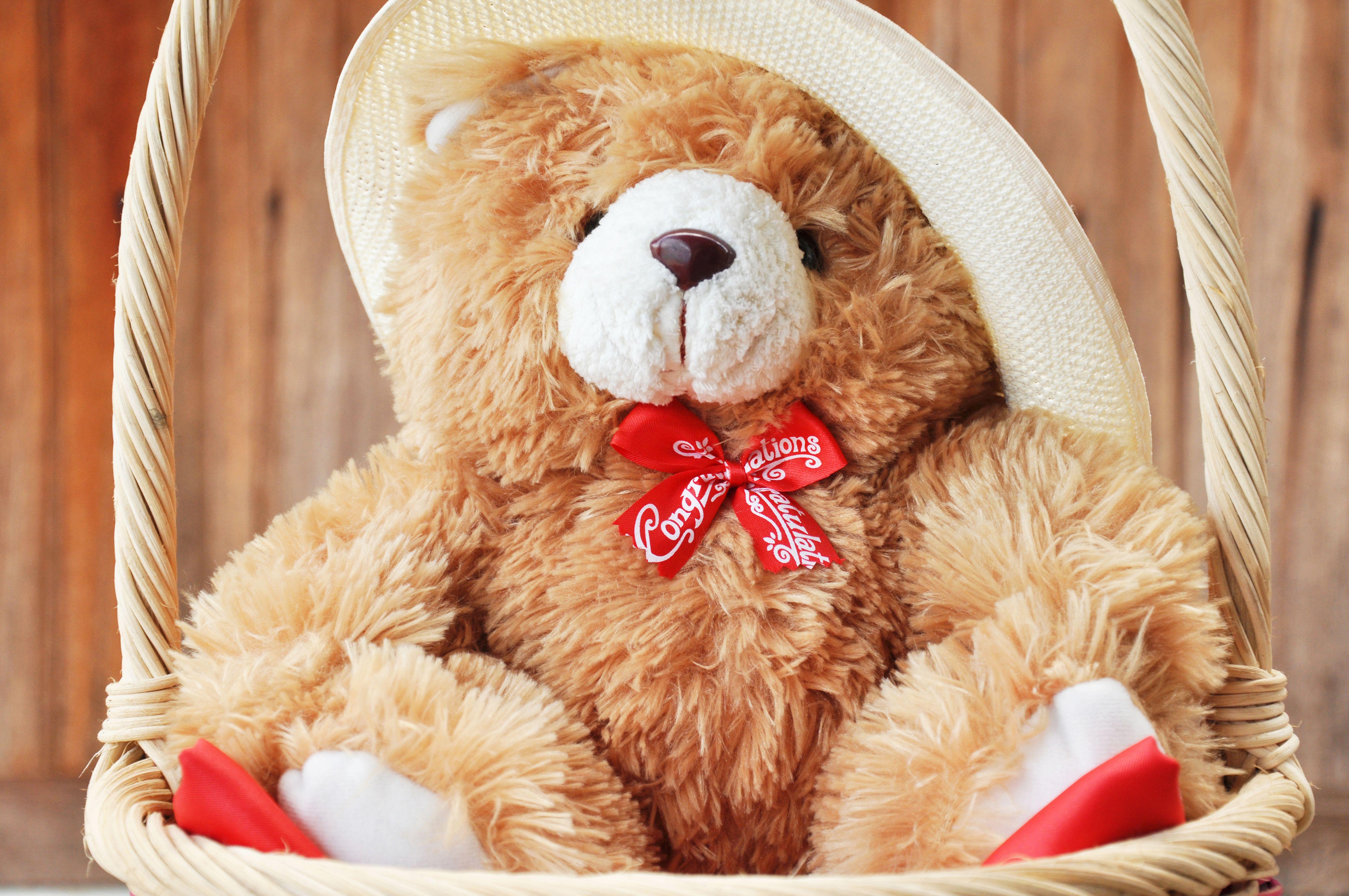 Stuffed Animal Wallpapers Wallpaper Cave