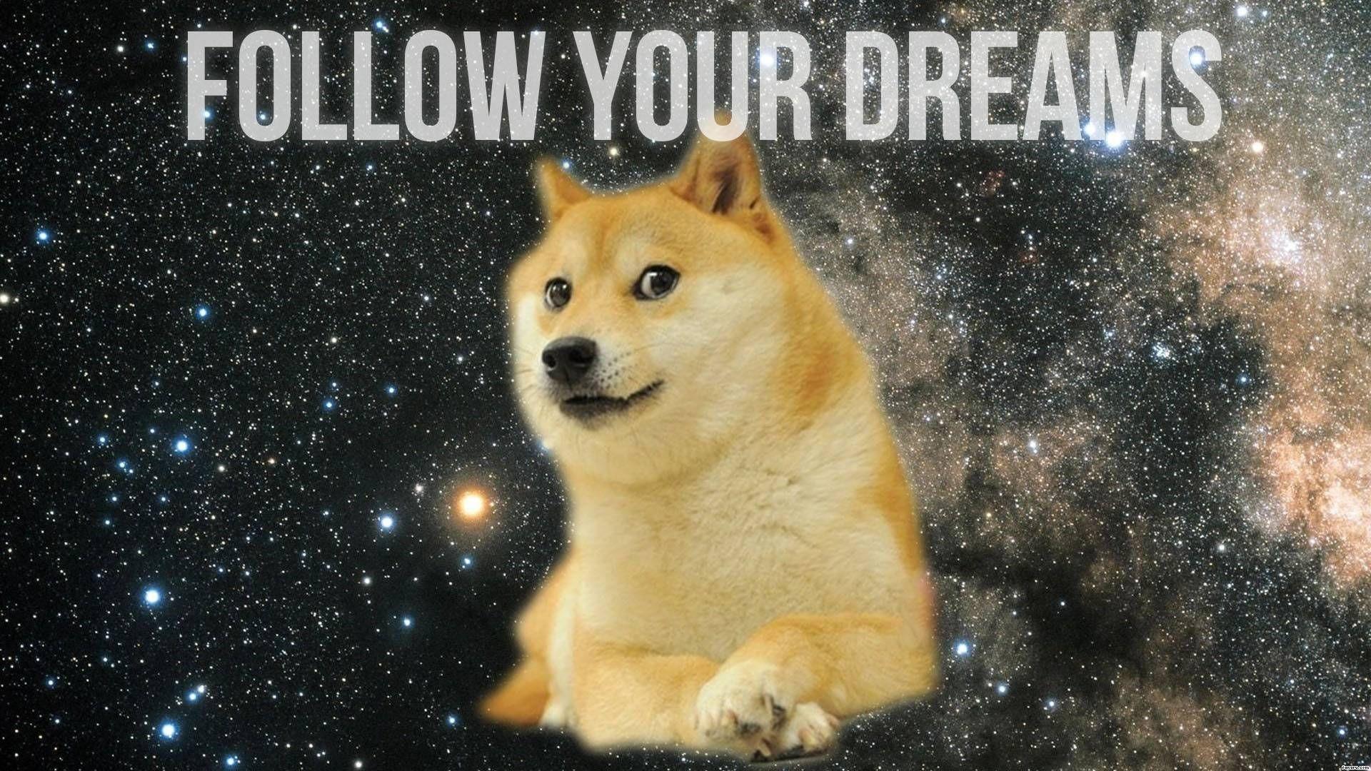 Dog Meme Wallpapers Wallpaper Cave