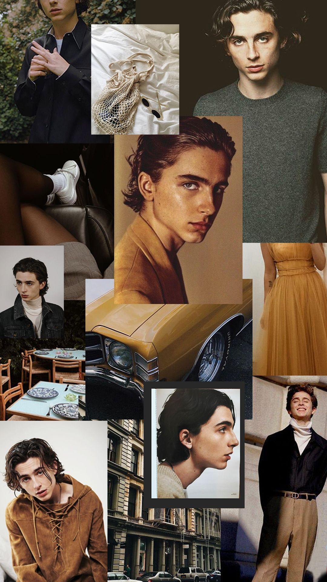 Aesthetic Timothee Chalamet Wallpapers Wallpaper Cave