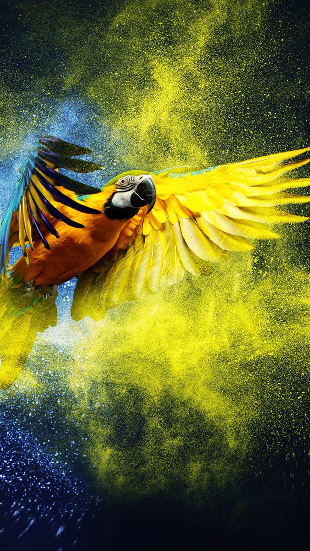 Parrot Security Phone Wallpapers Wallpaper Cave