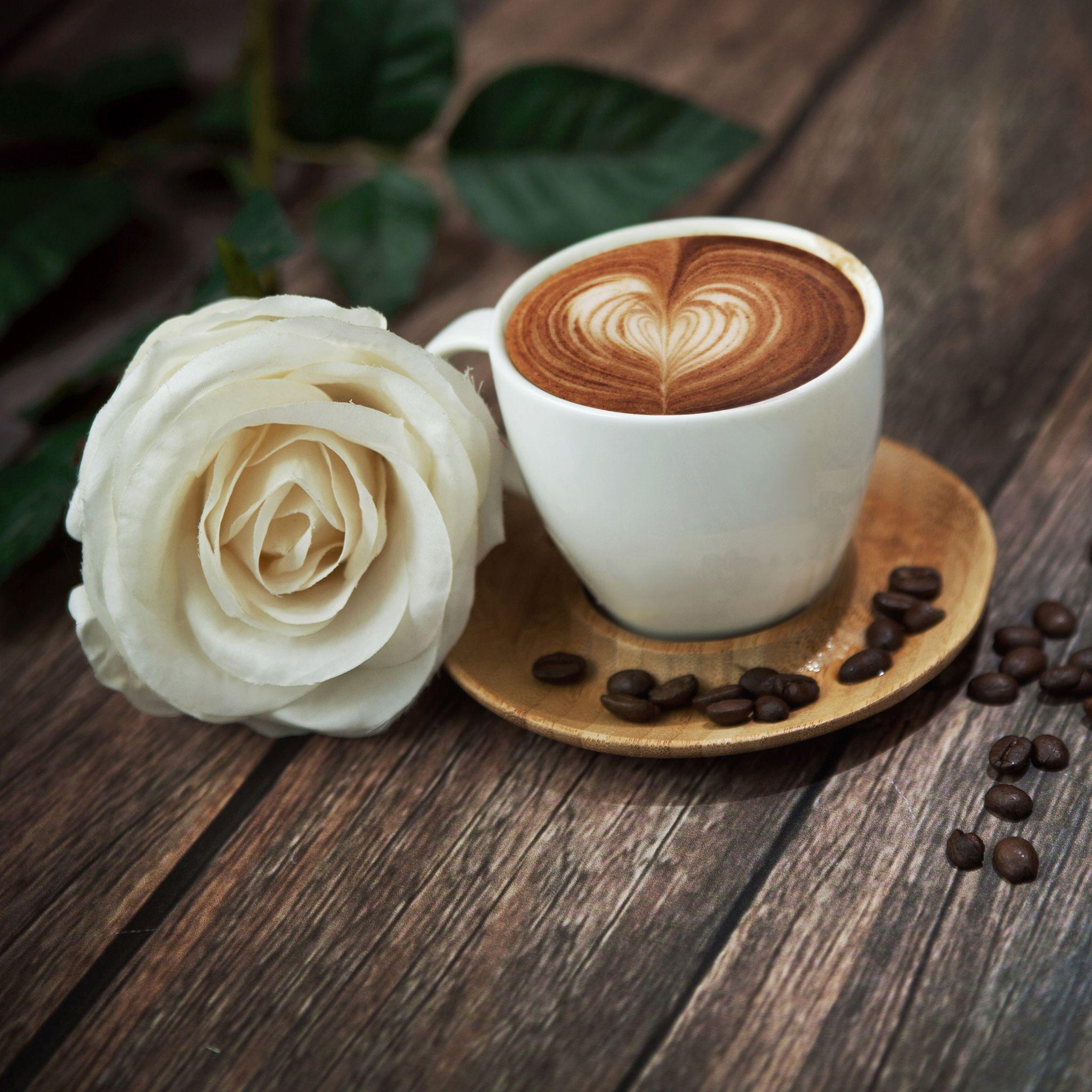 Coffee With Rose Wallpapers Wallpaper Cave