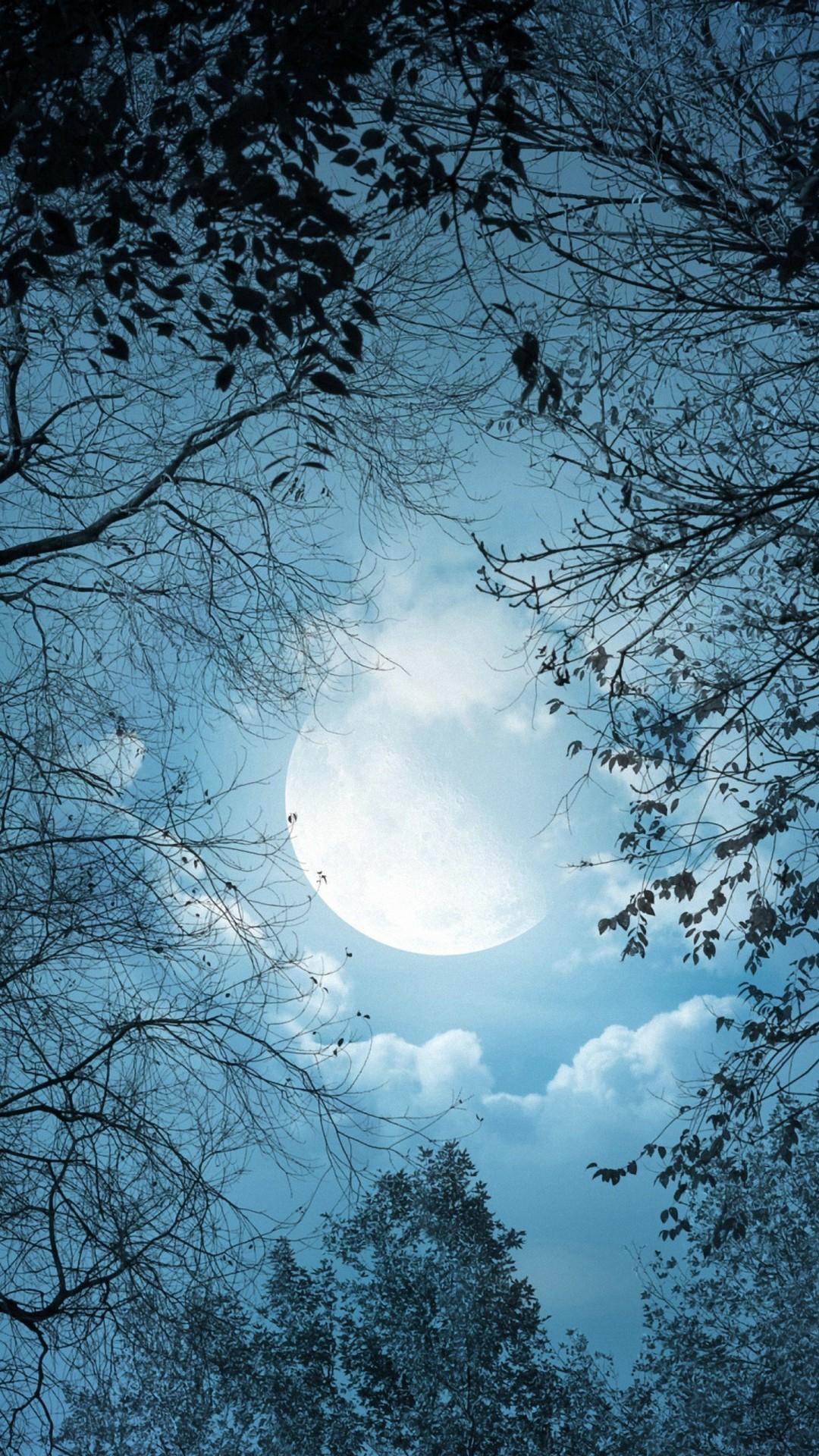 Moon Night Wallpapers Wallpaper Cave