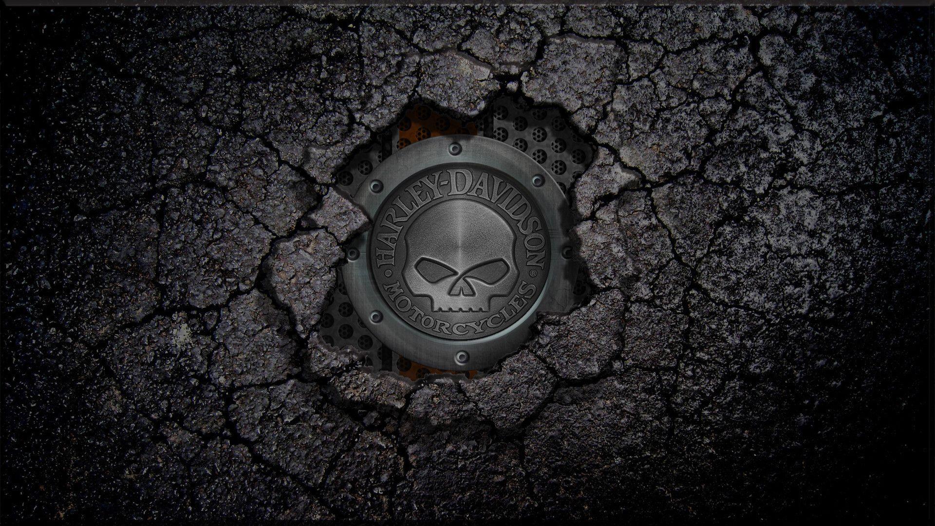 Harley Davidson Logo Wallpapers Wallpaper Cave