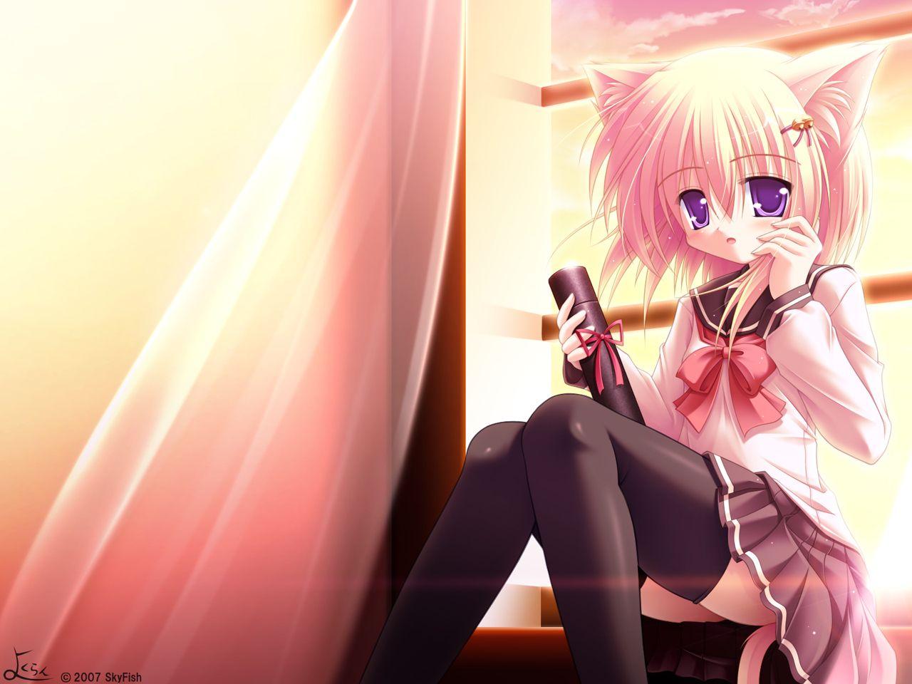 Neko Anime Girl Hd Wallpapers Wallpaper Cave