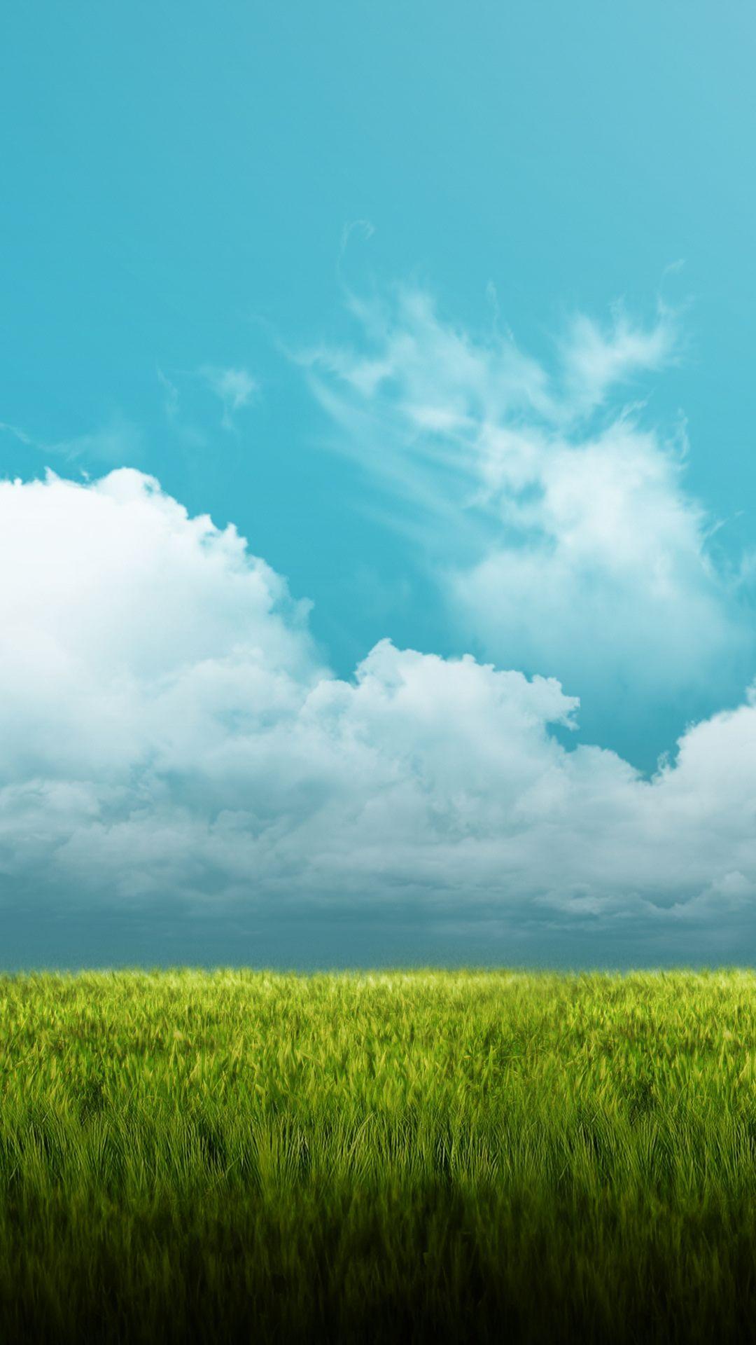 Green Field Mobile Wallpapers Wallpaper Cave