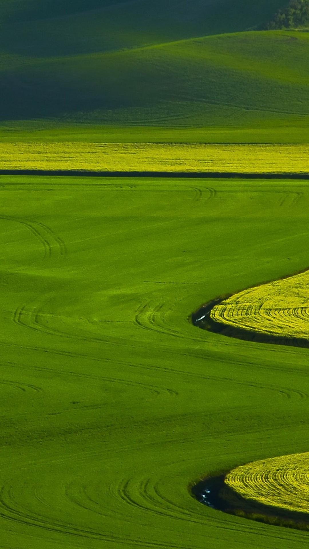 Green Field Mobile Wallpapers Wallpaper Cave