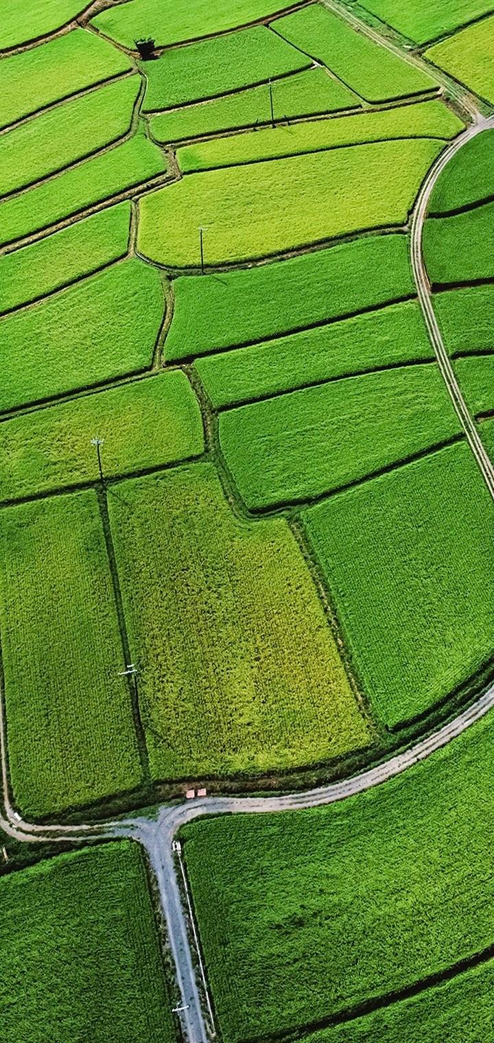 Green Field Mobile Wallpapers Wallpaper Cave