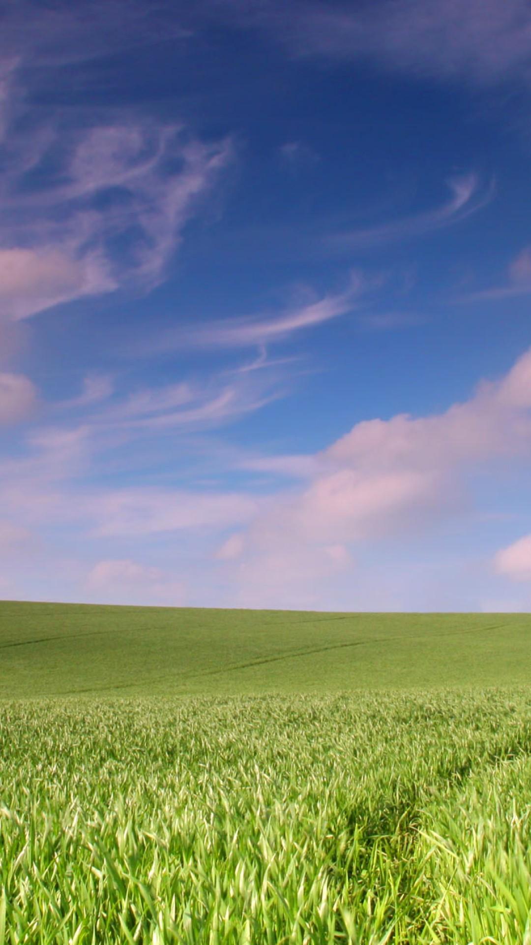 Green Field Mobile Wallpapers Wallpaper Cave