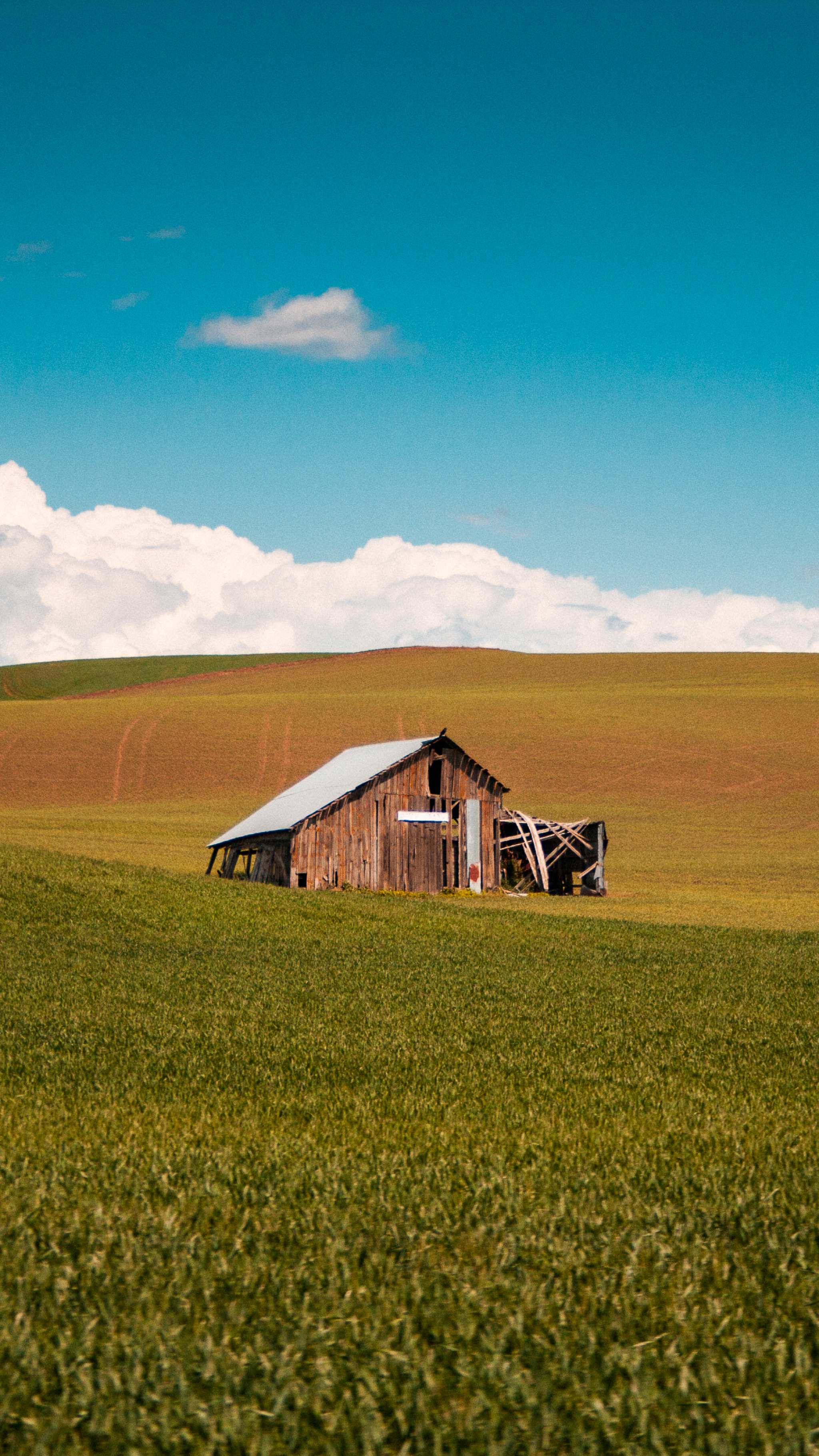 Green Field Mobile Wallpapers Wallpaper Cave