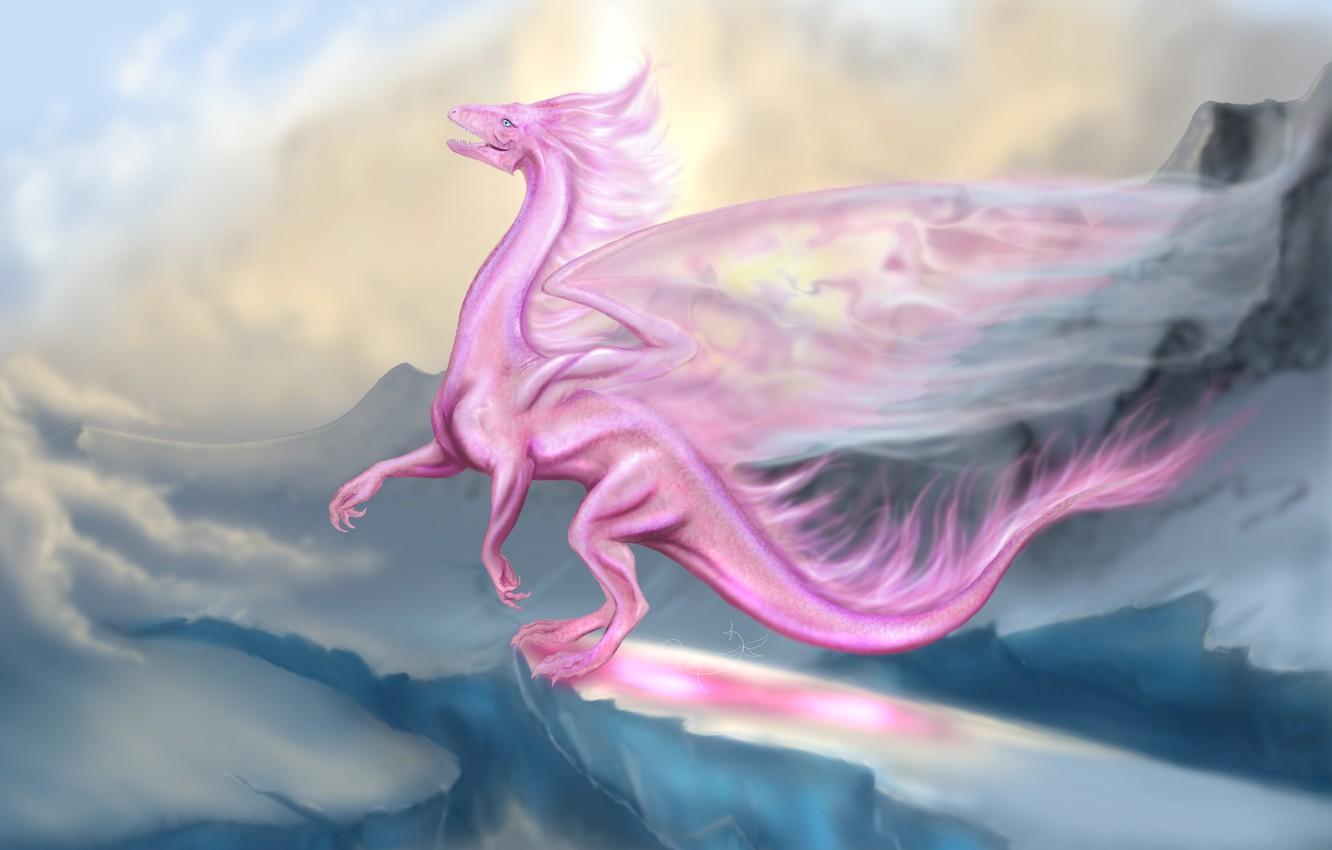 Pink Dragon Wallpapers Wallpaper Cave