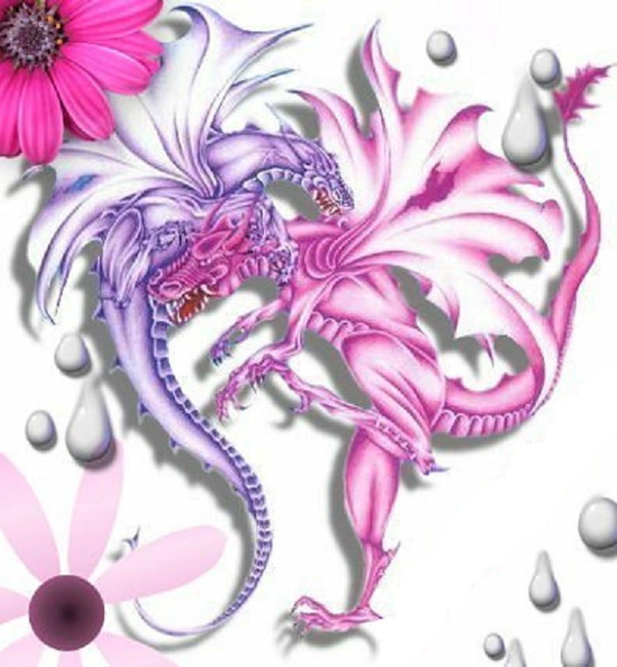 Pink Dragon Wallpapers Wallpaper Cave
