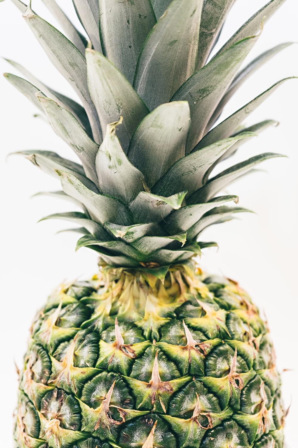Pineapple Photography Wallpapers Wallpaper Cave
