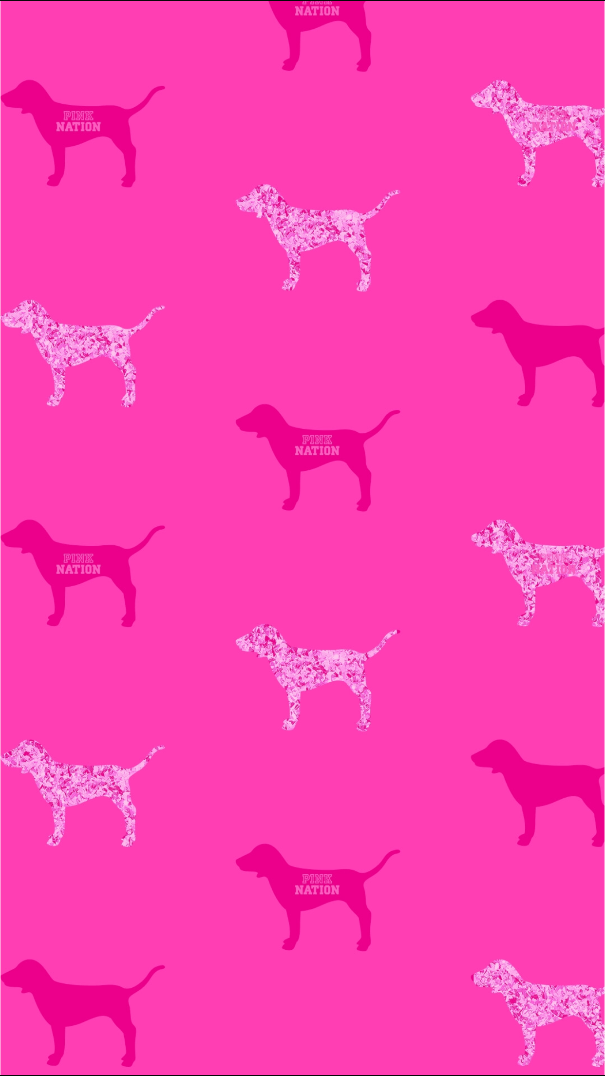Pink Puppy Wallpapers Wallpaper Cave