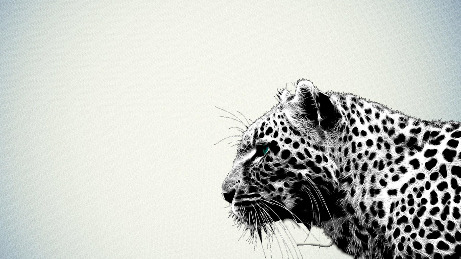 Cheetah Desktop Wallpapers Wallpaper Cave