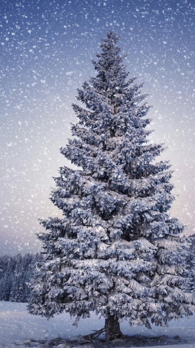 Christmas Tree Phone Wallpapers Wallpaper Cave