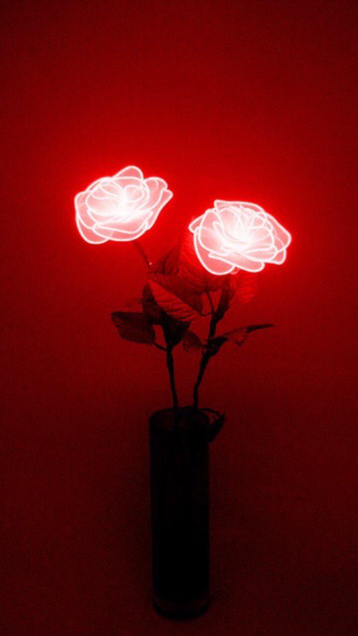 Rose Marlboro Tumblr Wallpapers Wallpaper Cave