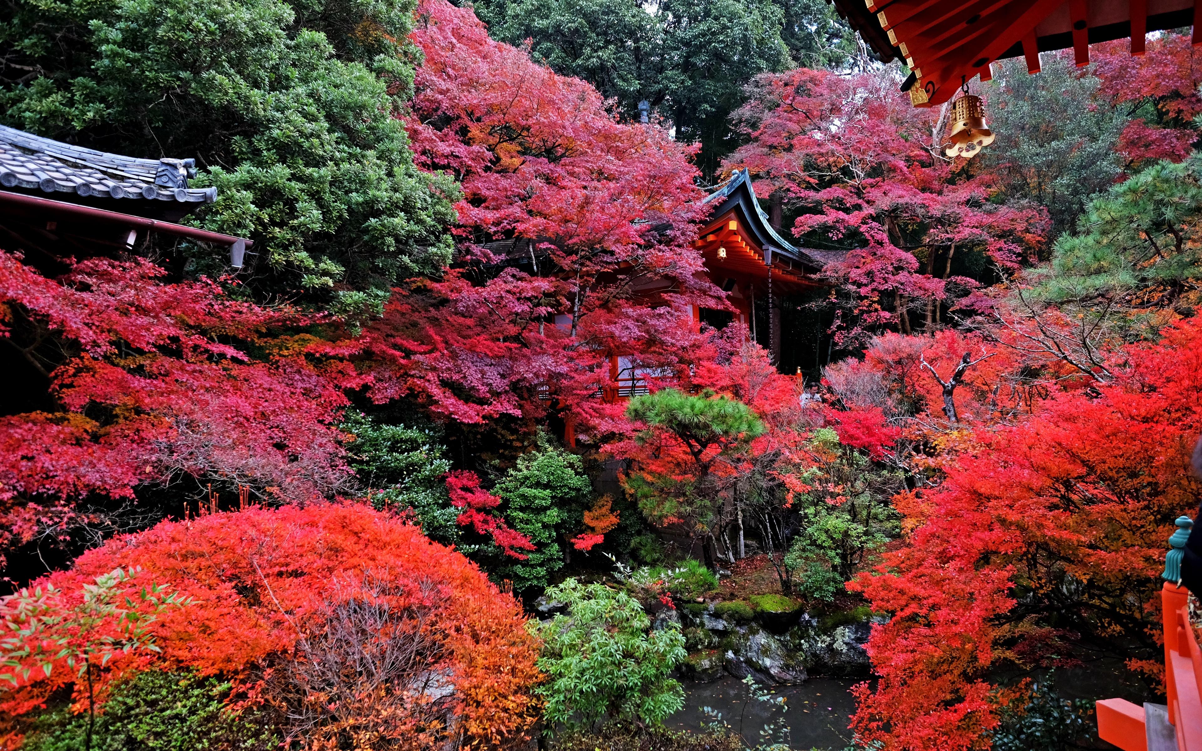 Autumn Japan Wallpapers Wallpaper Cave