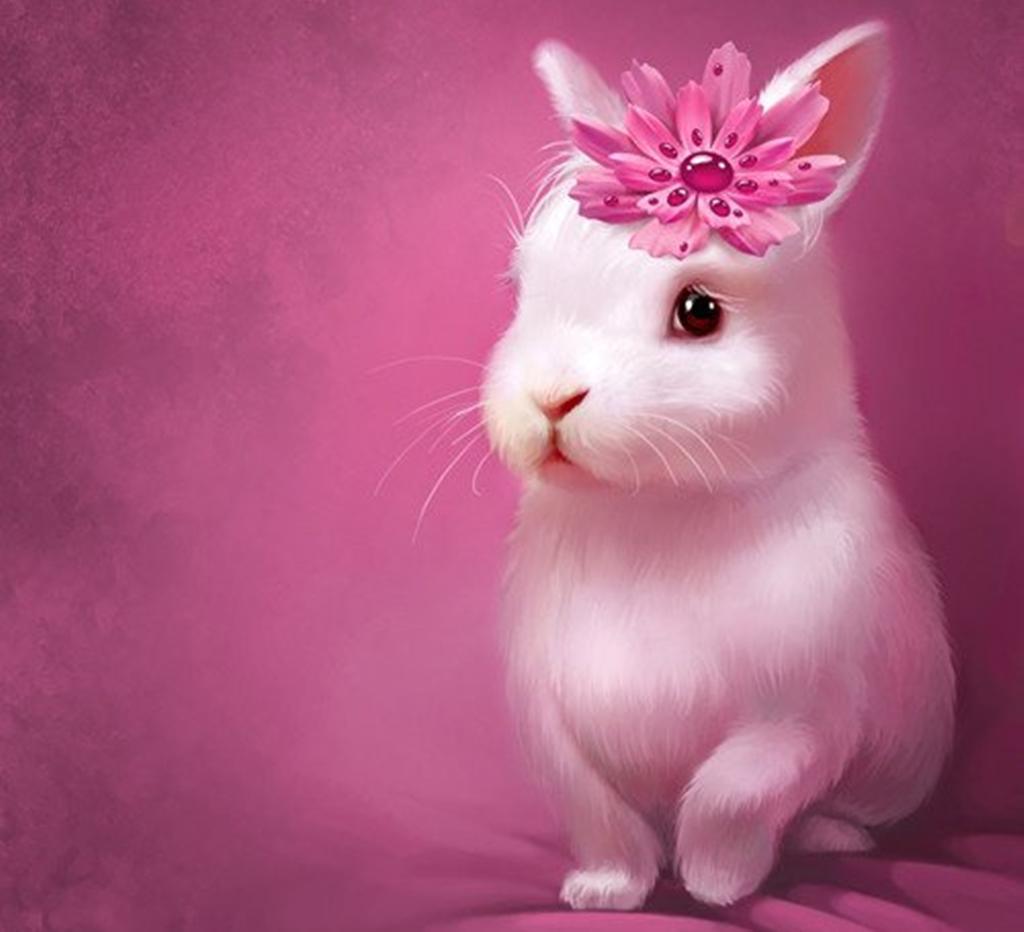 Pink Bunny Kawaii Rabbit Wallpapers Wallpaper Cave