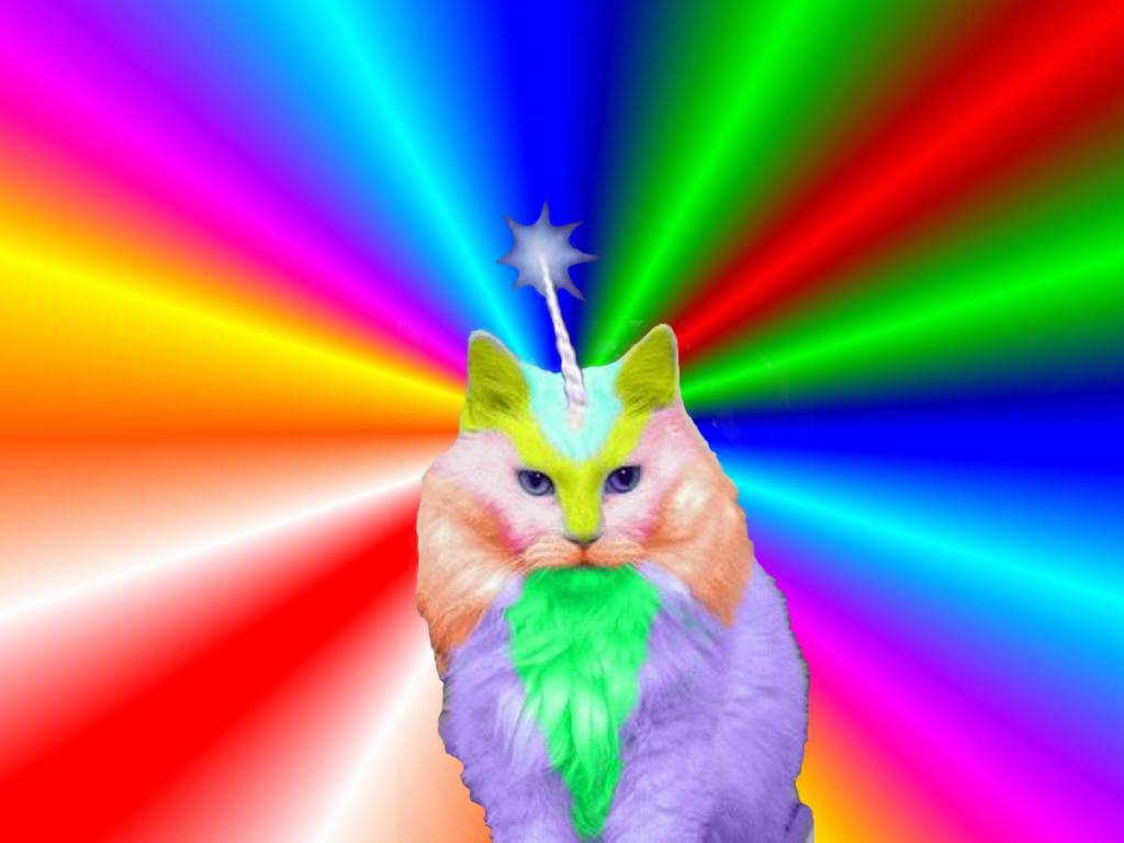 Rainbow Cats Wallpapers Wallpaper Cave