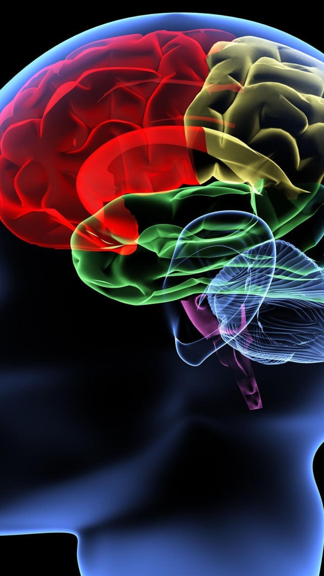 Human Brain Mobile Wallpapers Wallpaper Cave
