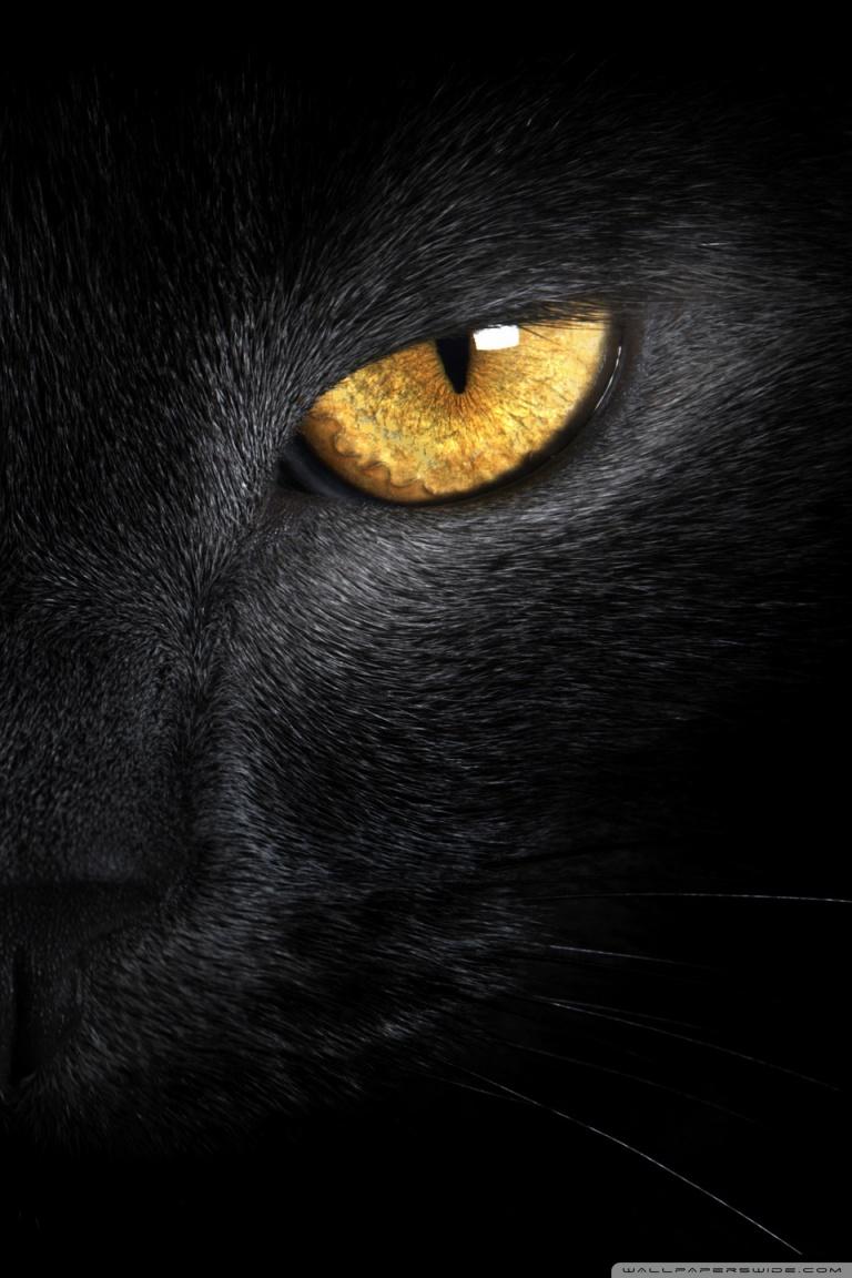 Yellow Eye Wallpaper