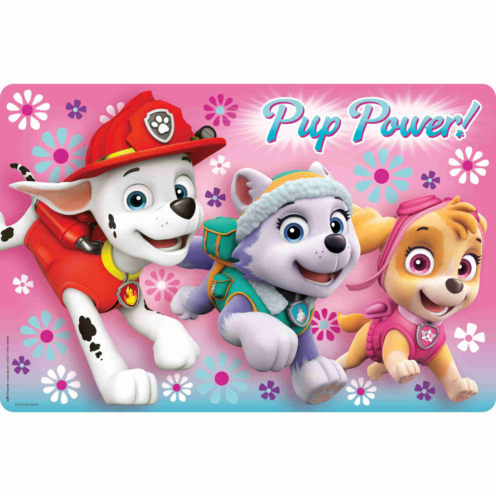 PAW Patrol Background