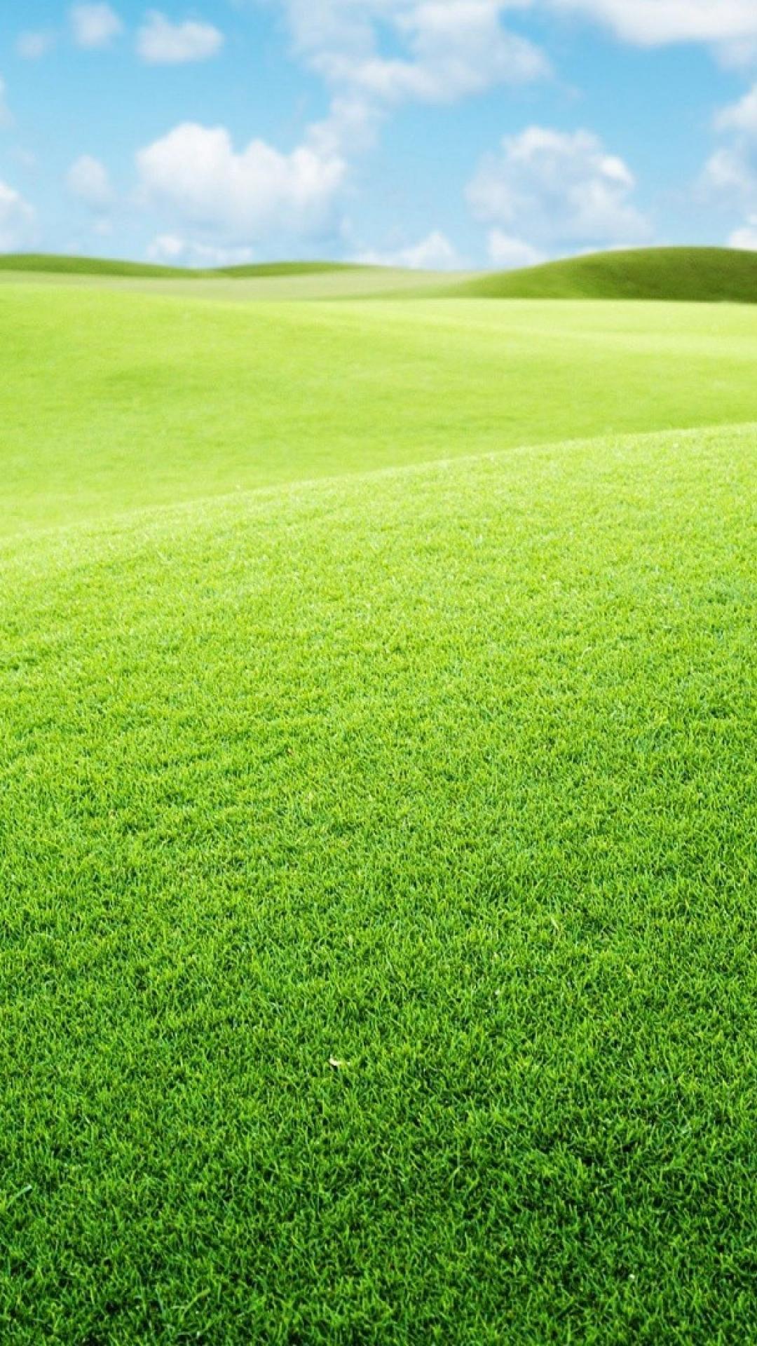 Grass Mobile Wallpapers Wallpaper Cave