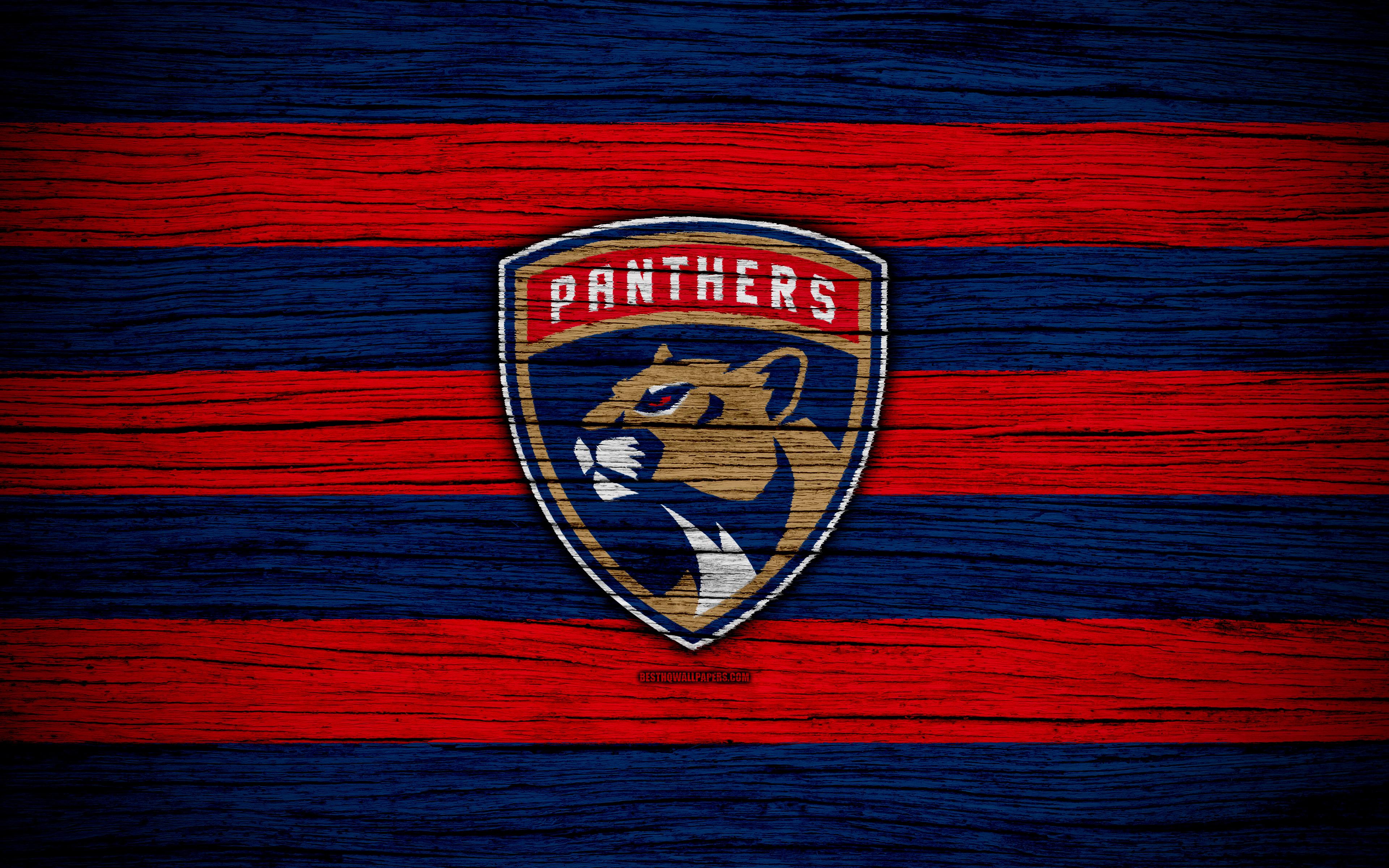 Florida Panthers HD Wallpapers Wallpaper Cave