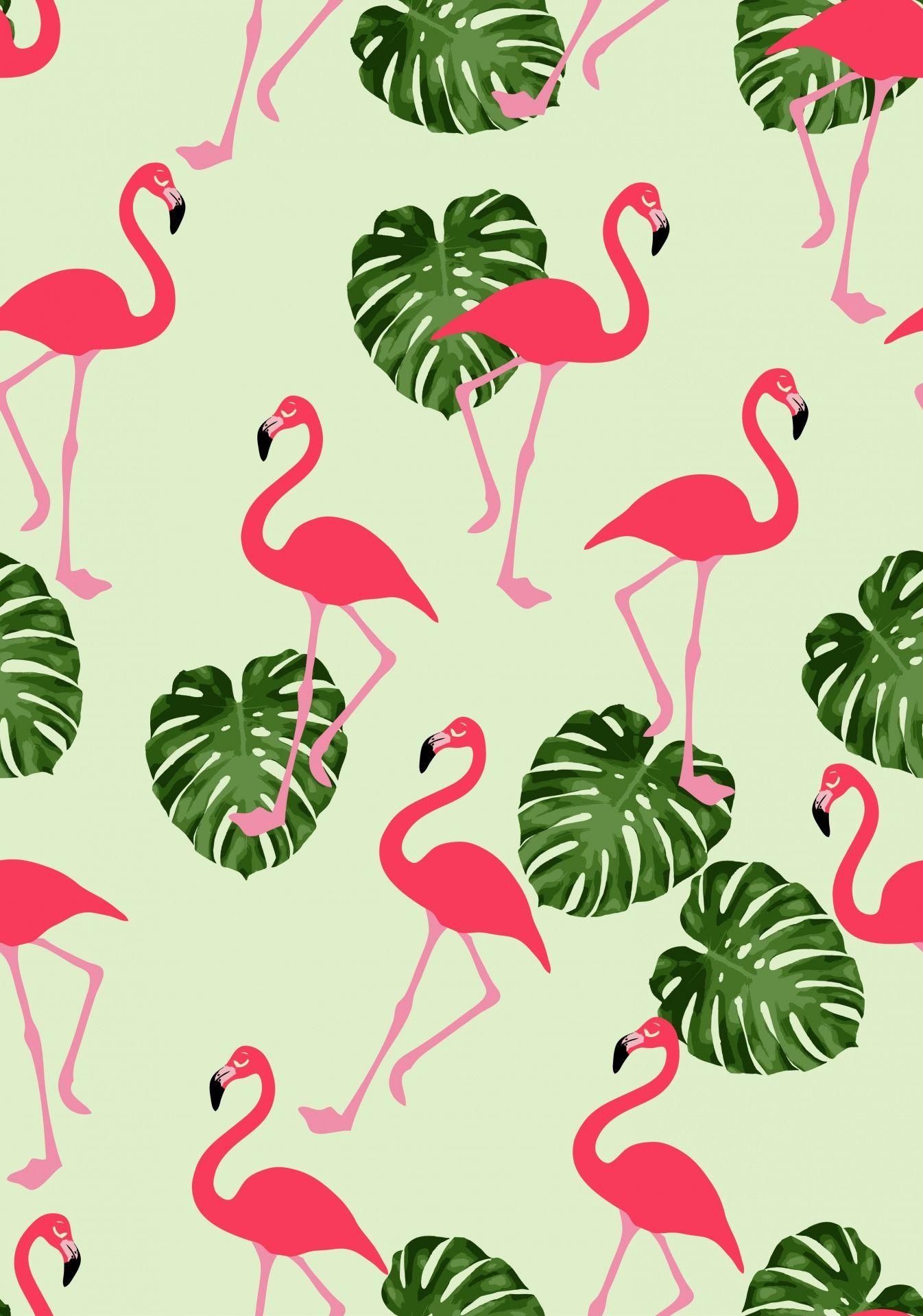Flamingo Android Wallpapers Wallpaper Cave